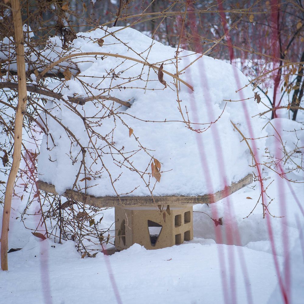 Photograph by Ирина Савенко