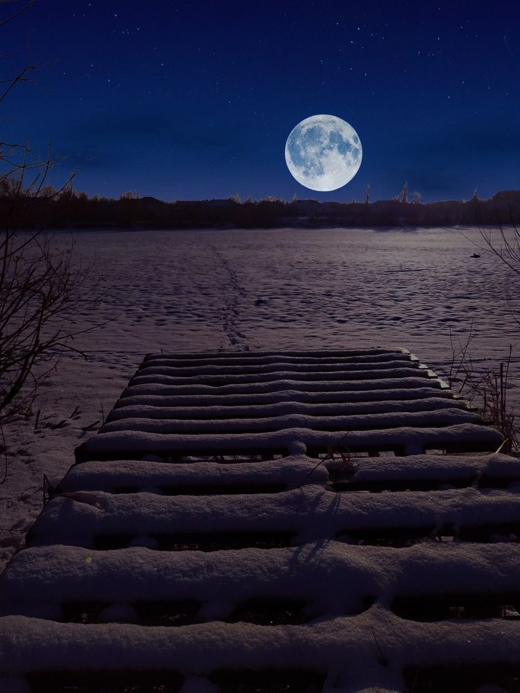 Фотография автора Наталья Алексеева