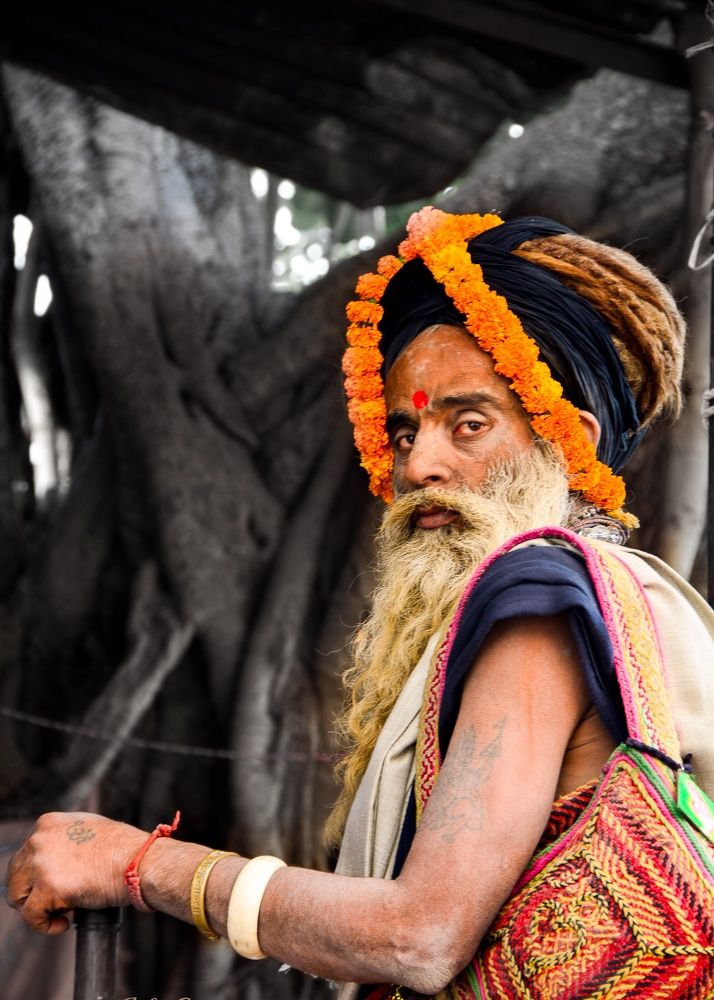 Фотография автора Soha Emera