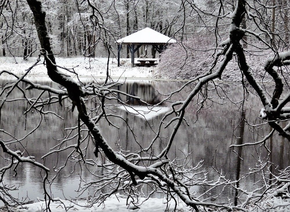 Фотография автора Tiia Vissak