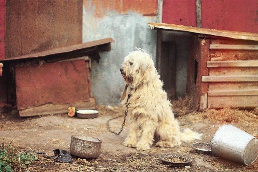 Photograph by Екатерина Землянских