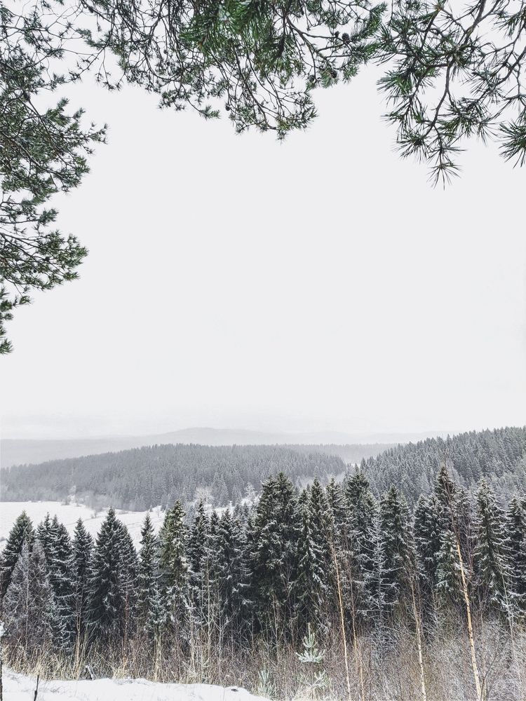 Photo #5669207