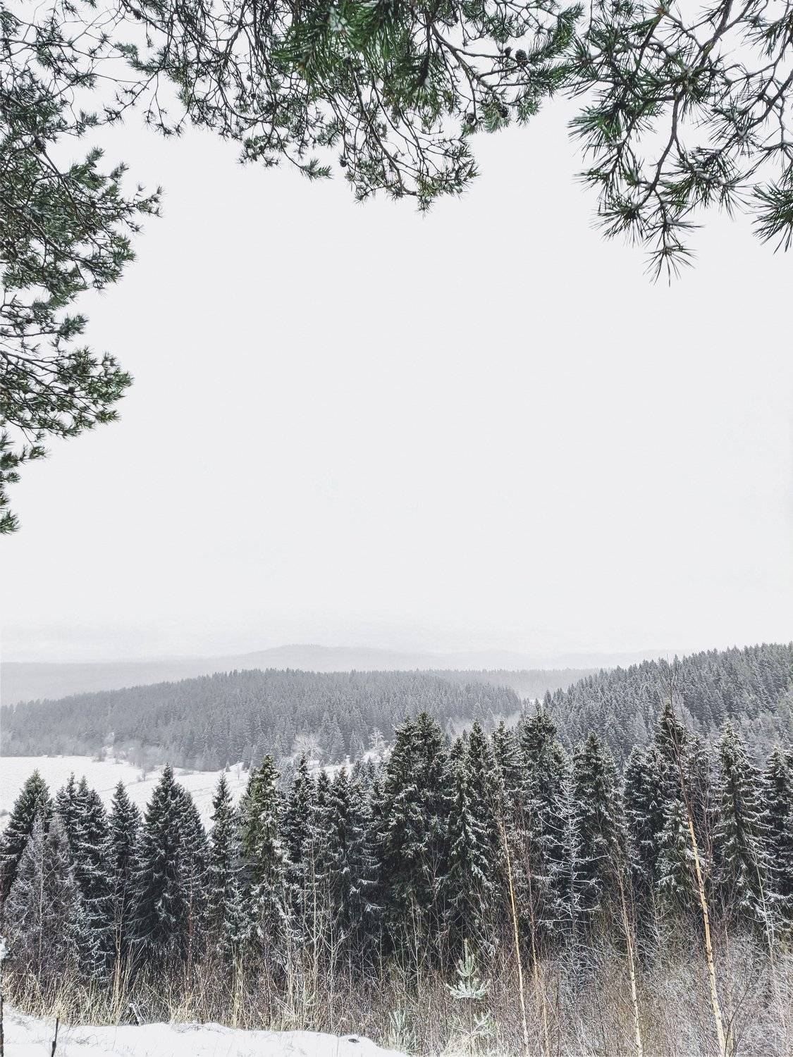 Photo #5669207