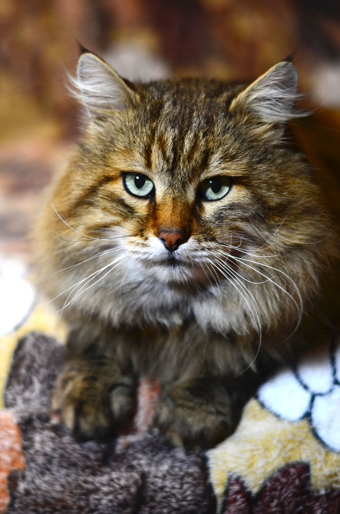 Photograph by Юлия Жданова