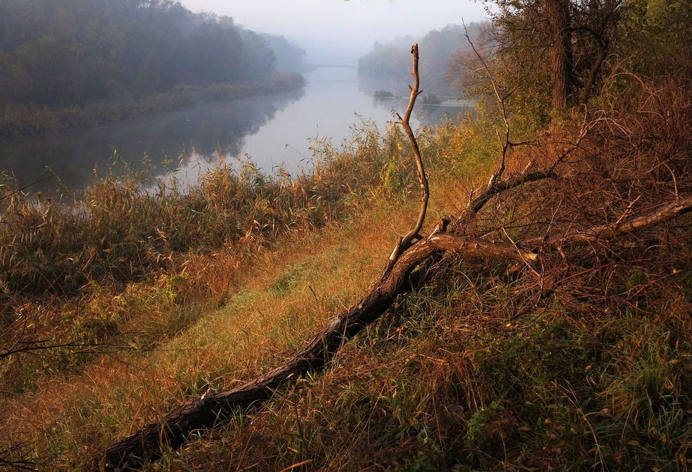 Фотография автора Светлана Груньковская
