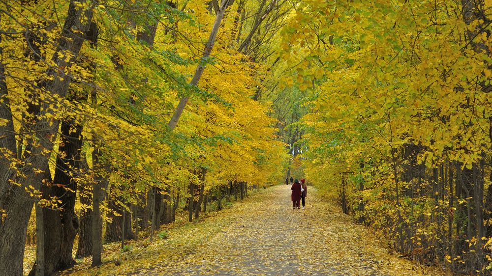 Photograph by Евгений