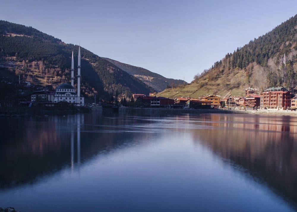 Фотография автора Soha Emera