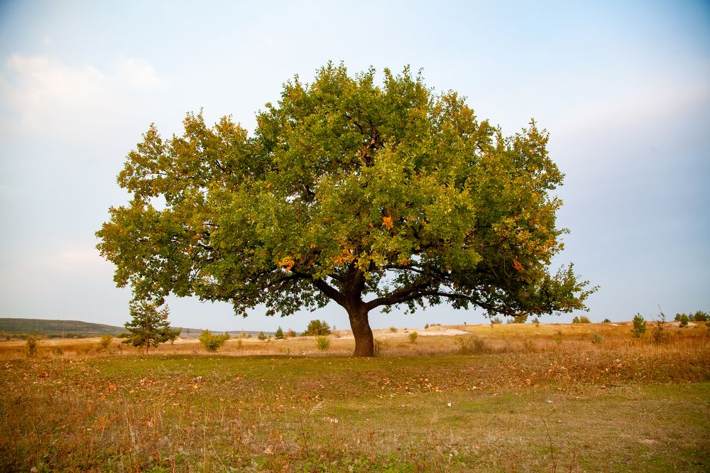 Photograph by Сергей Демидов