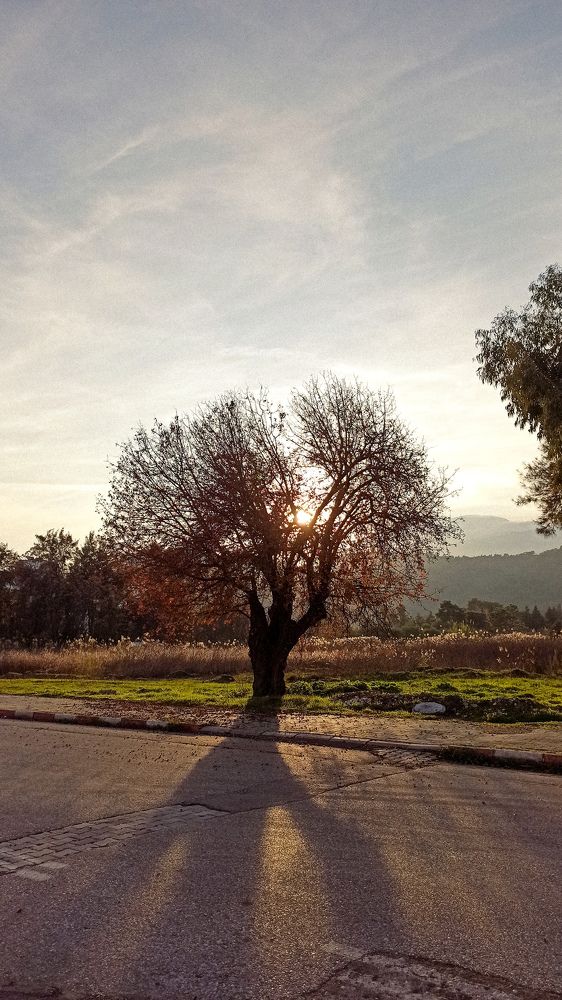 Photograph by Натали Озкан