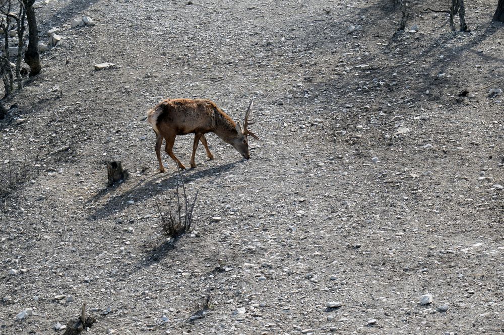 Photograph by Наталья Вялых