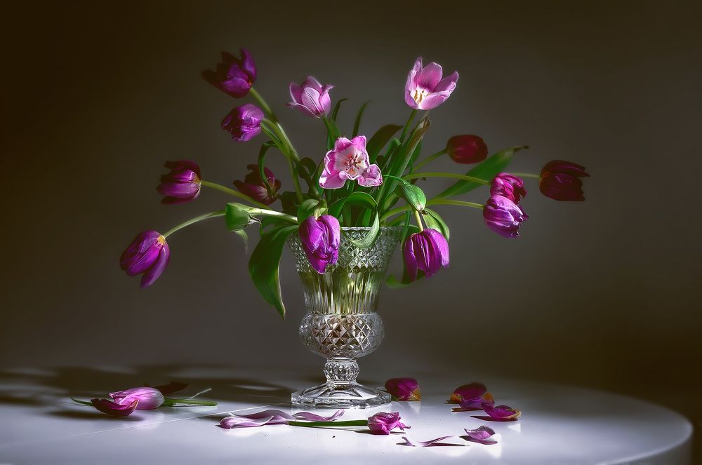 Photograph by Александр Бен Сандлер