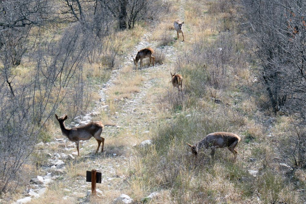 Photograph by Наталья Вялых