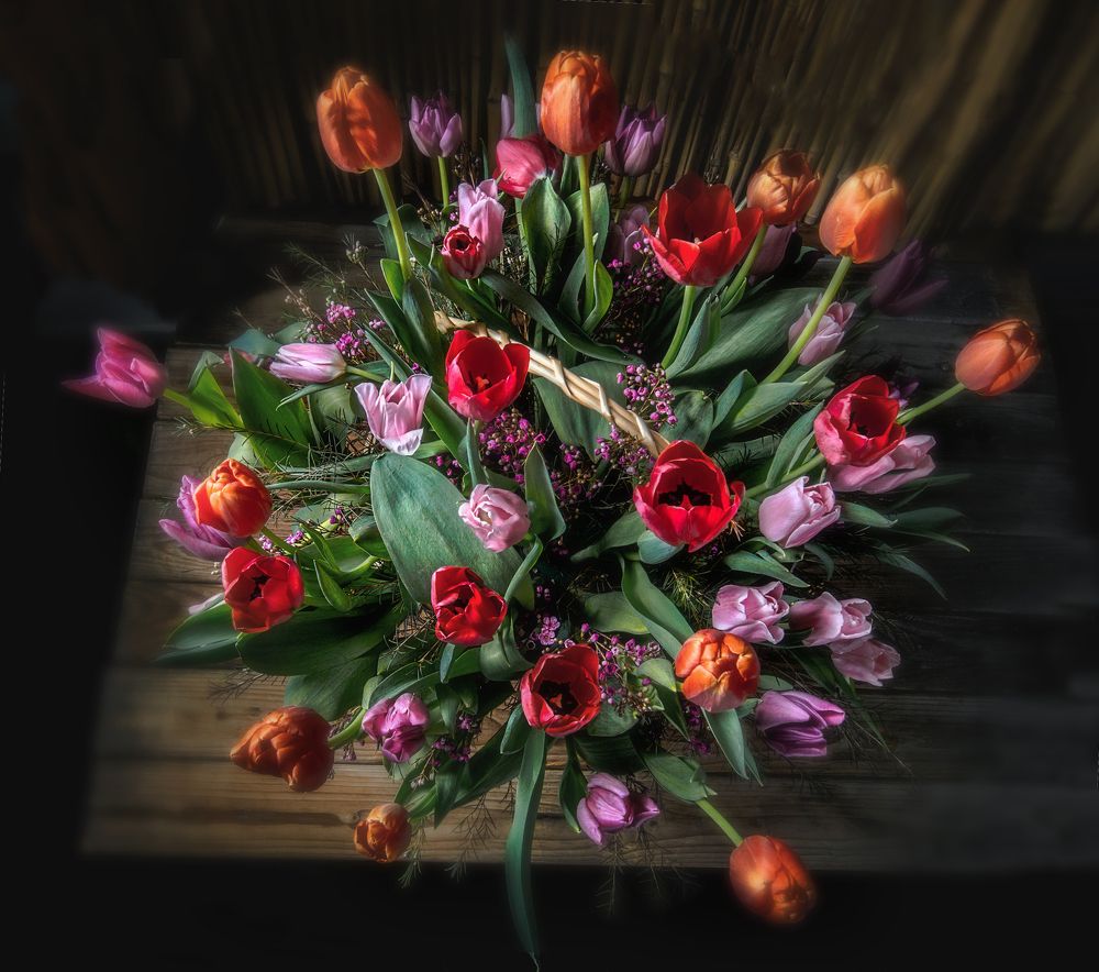 Photograph by Александр Бен Сандлер