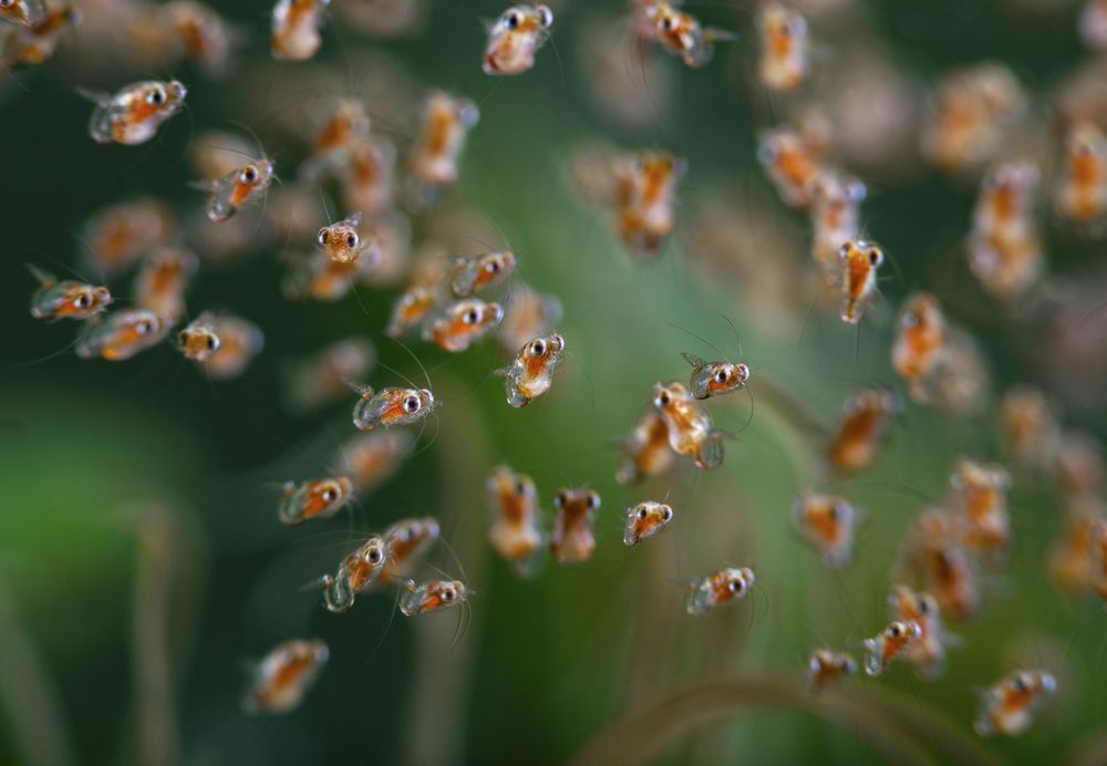 Photograph by Юрий Перевозников