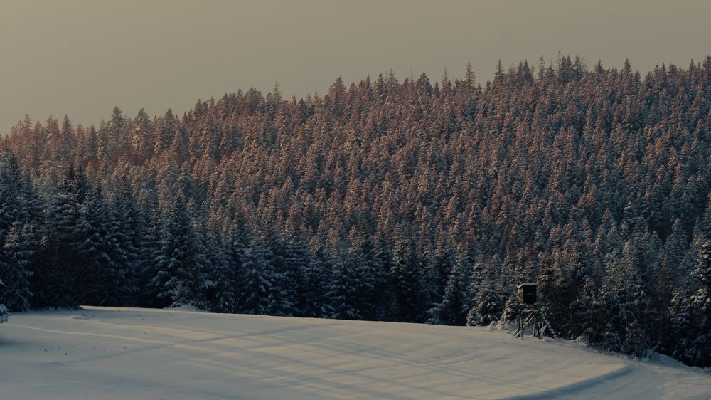 Photograph by Dominik Lipka