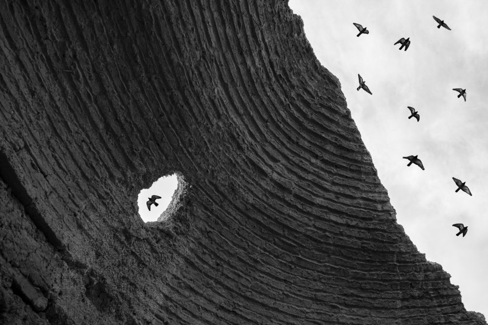 Photograph by Alireza Zaghian