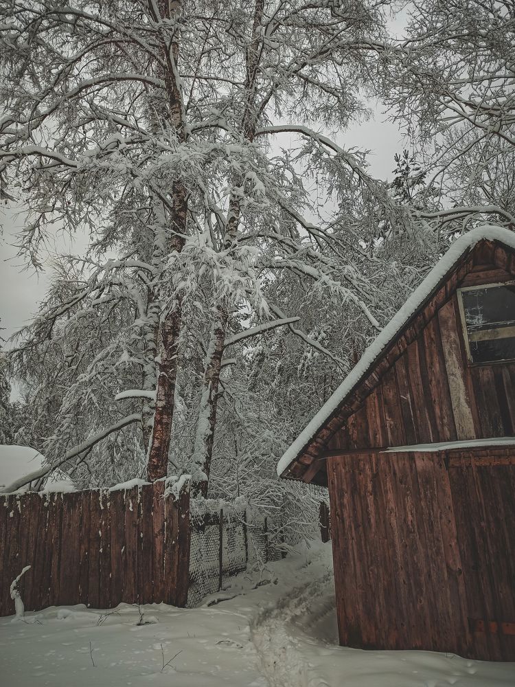 Photograph by Анастасия