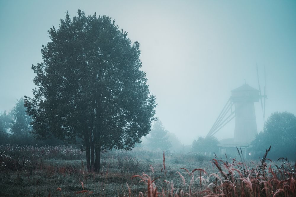 Photograph by Василий