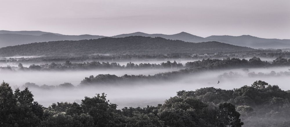 Photograph by Татьяна Слёзкина