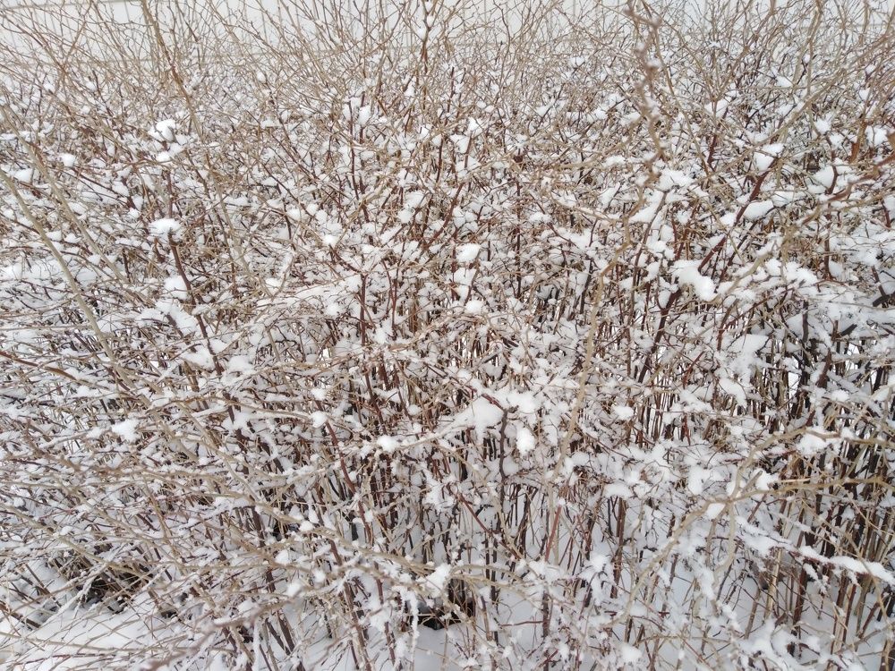 Photograph by Татьяна Ситникова