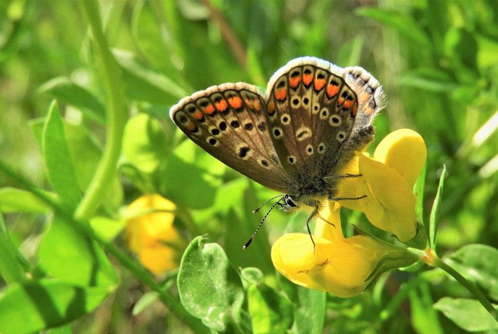 Photograph by Irina Weber