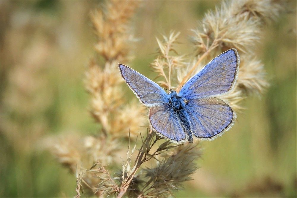 Photograph by Irina Weber