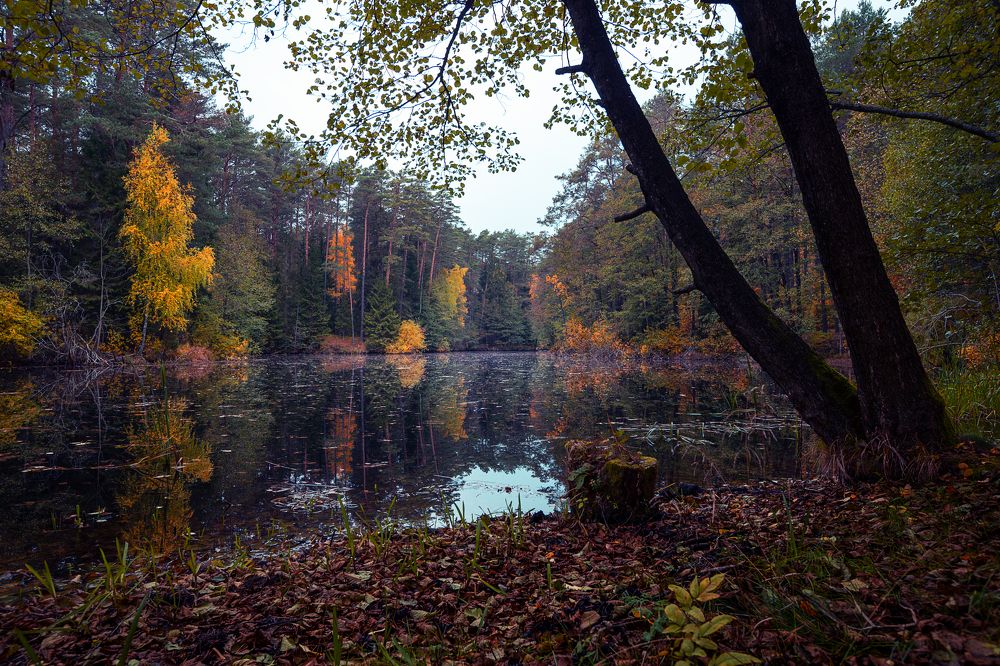 Photograph by Ignas Lazauskas