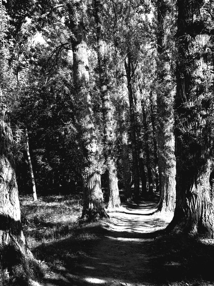 Photograph by Инга Энгель