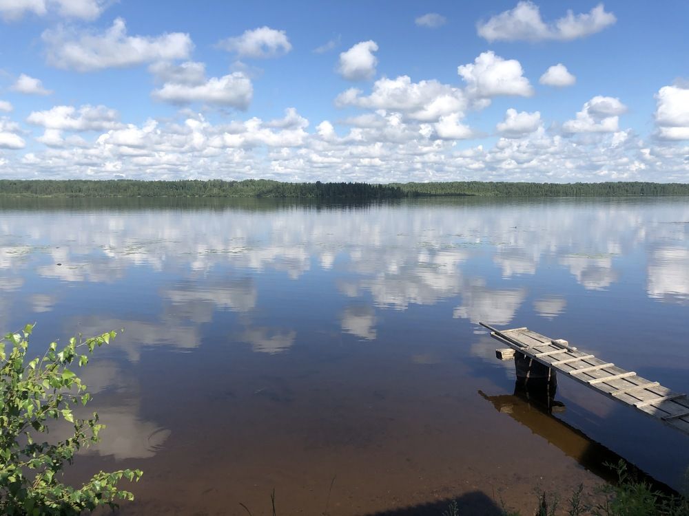 Photograph by Olga Oginskaya