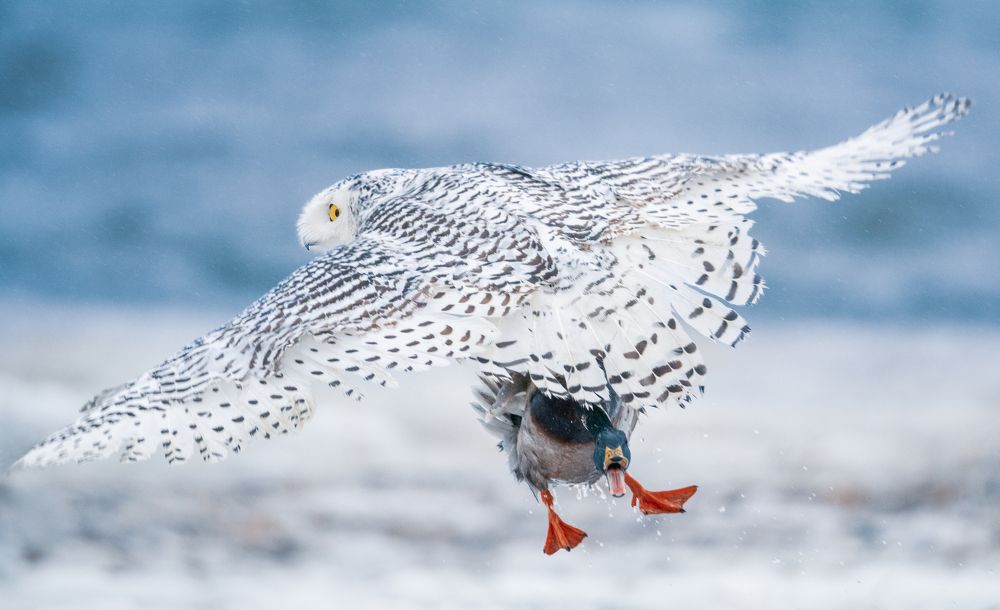 Photograph by  HITTHEROAD