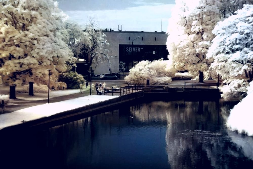 Photograph by Алексей Стрижаков