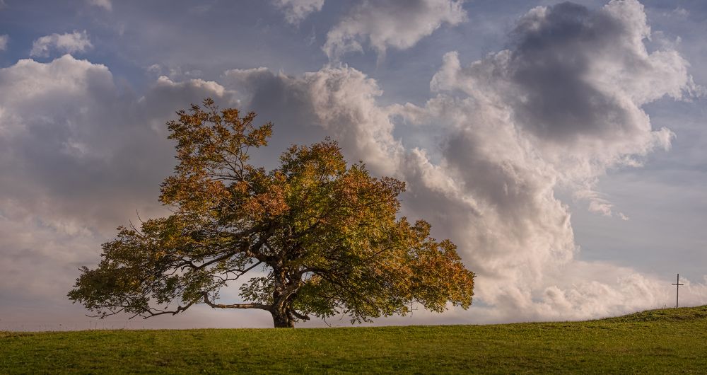 Photograph by Helen Vasilieva