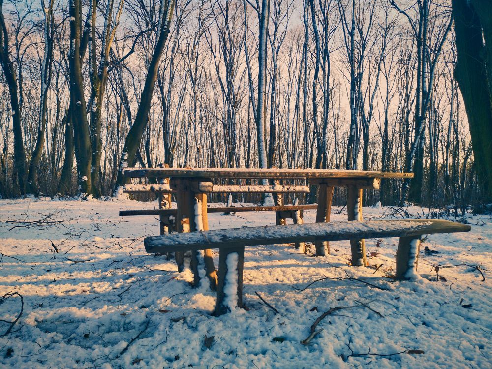 Photograph by Milica Simeunovic