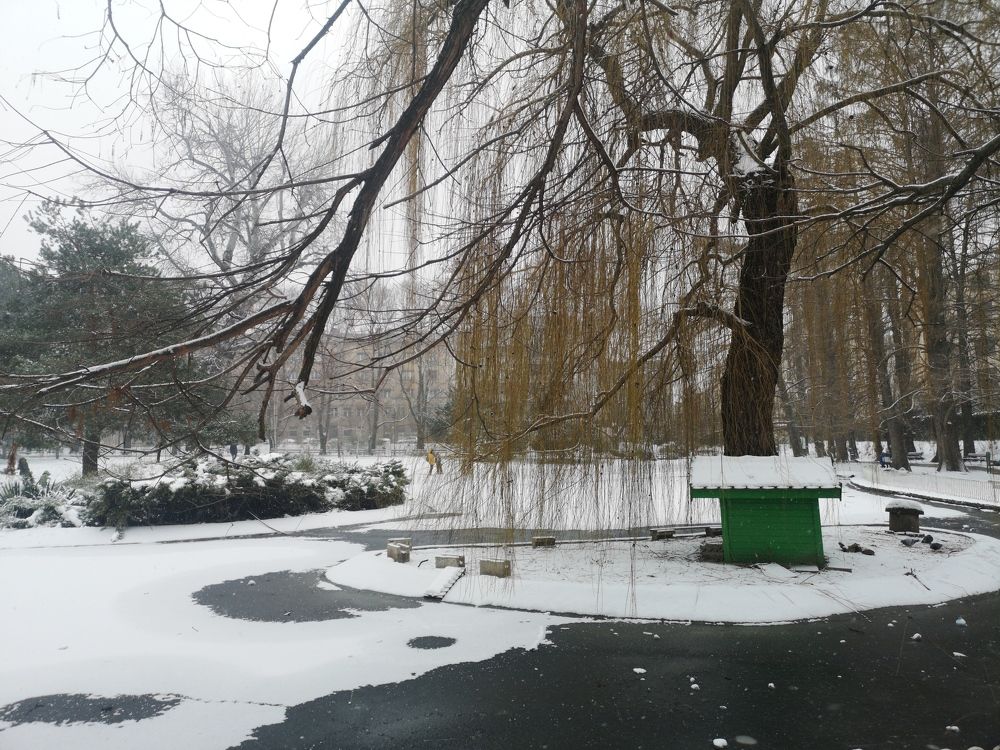 Photograph by Milica Simeunovic