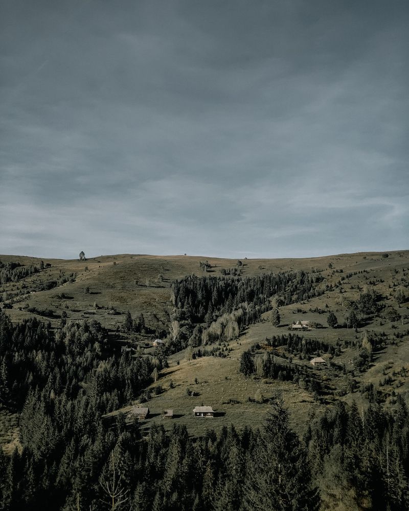 Photograph by Никита Чернов