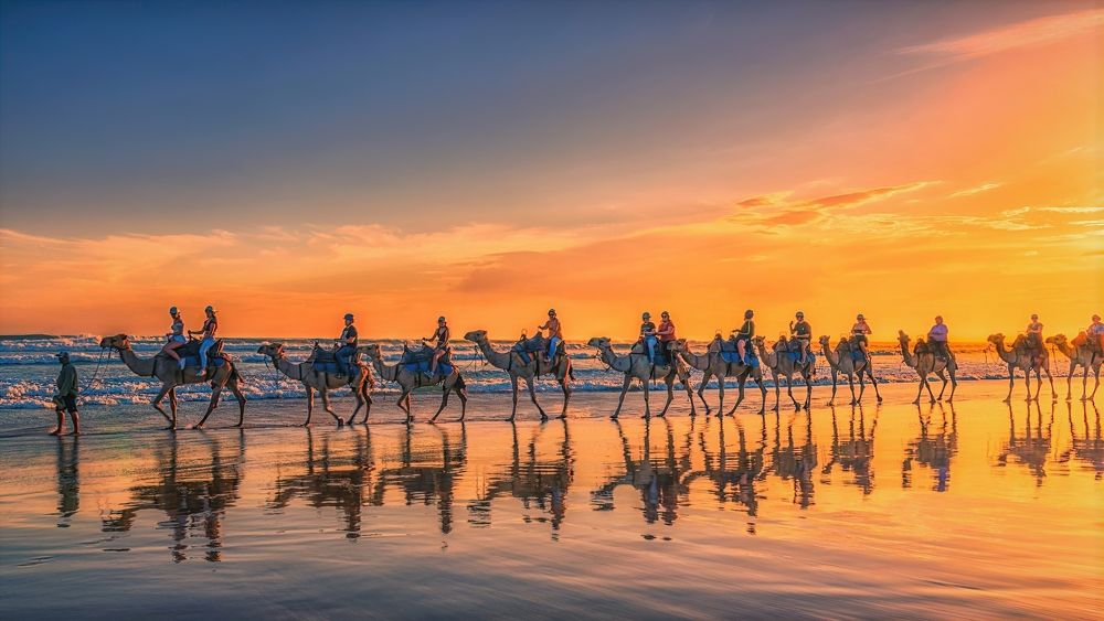Camel rides and reflections