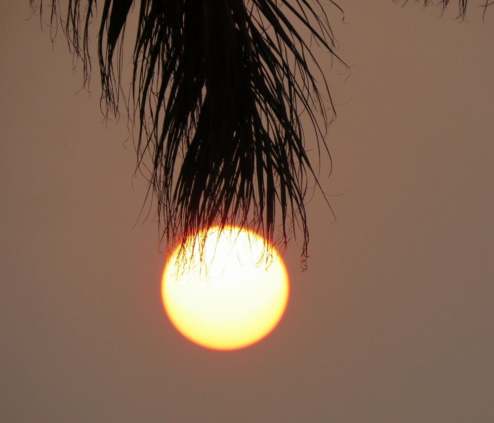 Photograph by suparna ghosh