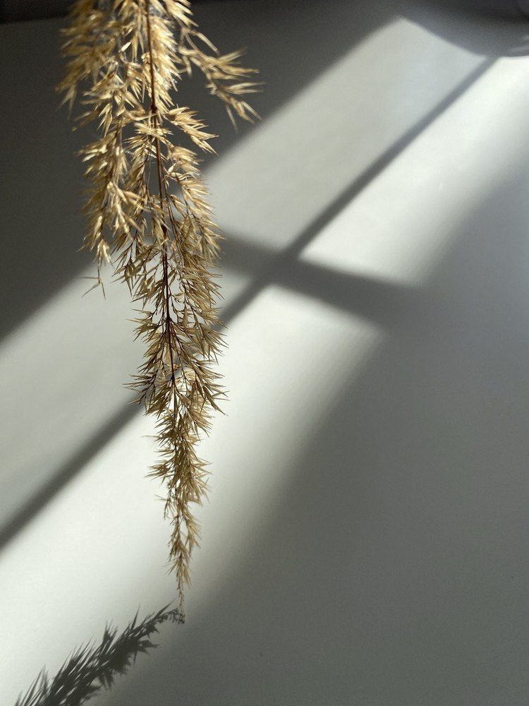 Photograph by Anna Fakhrutdinova