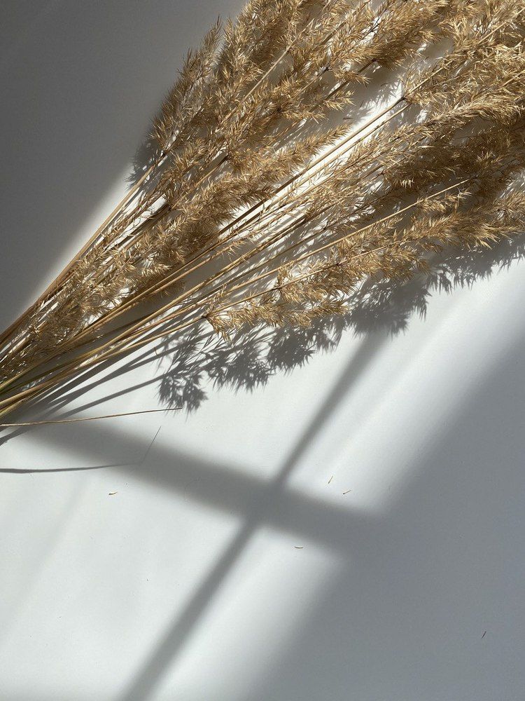 Photograph by Anna Fakhrutdinova