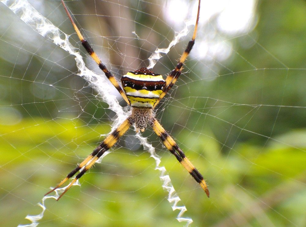 Photograph by Miftah Thecobra