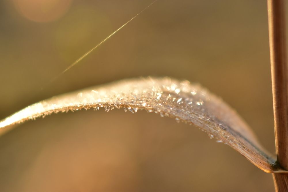 Photograph by Елена Антонова