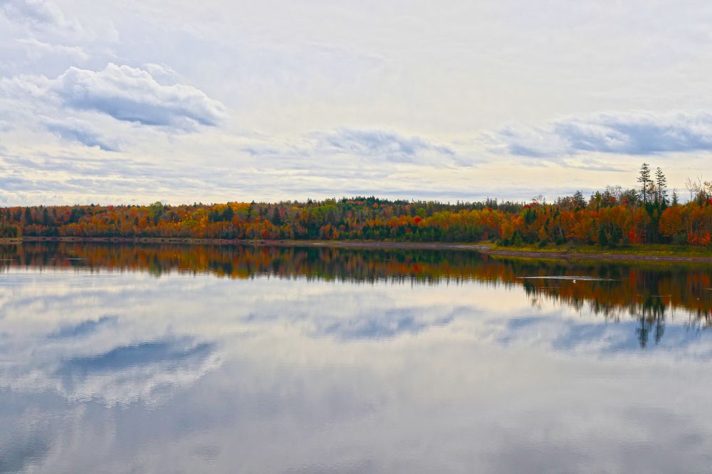 Photograph by Vinodkumar S