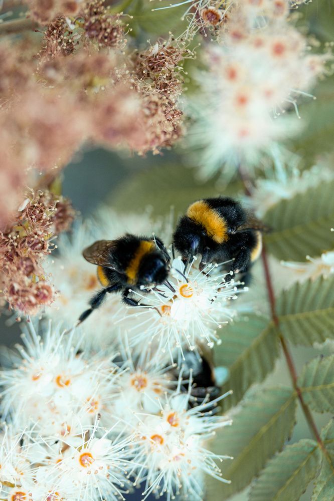 Photograph by Aleksandra Bogdanova