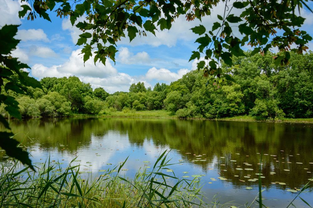 Photograph by Олег Волков