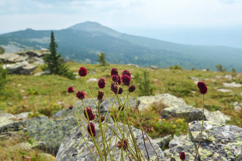 Photograph by Екатерина Володина