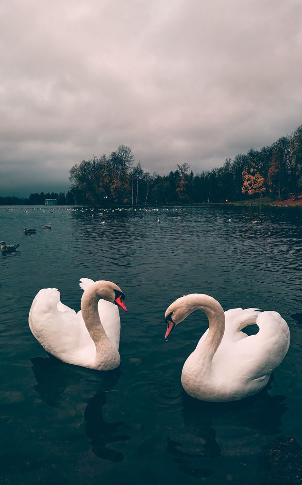 Photograph by Карина Бархударян