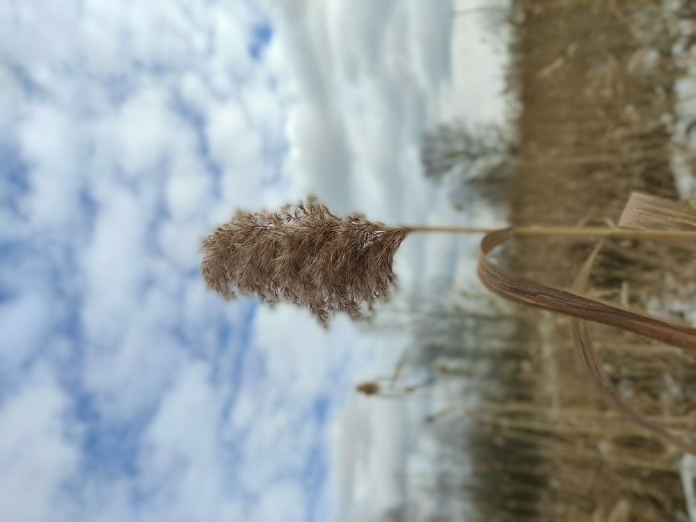 Photo #5670725