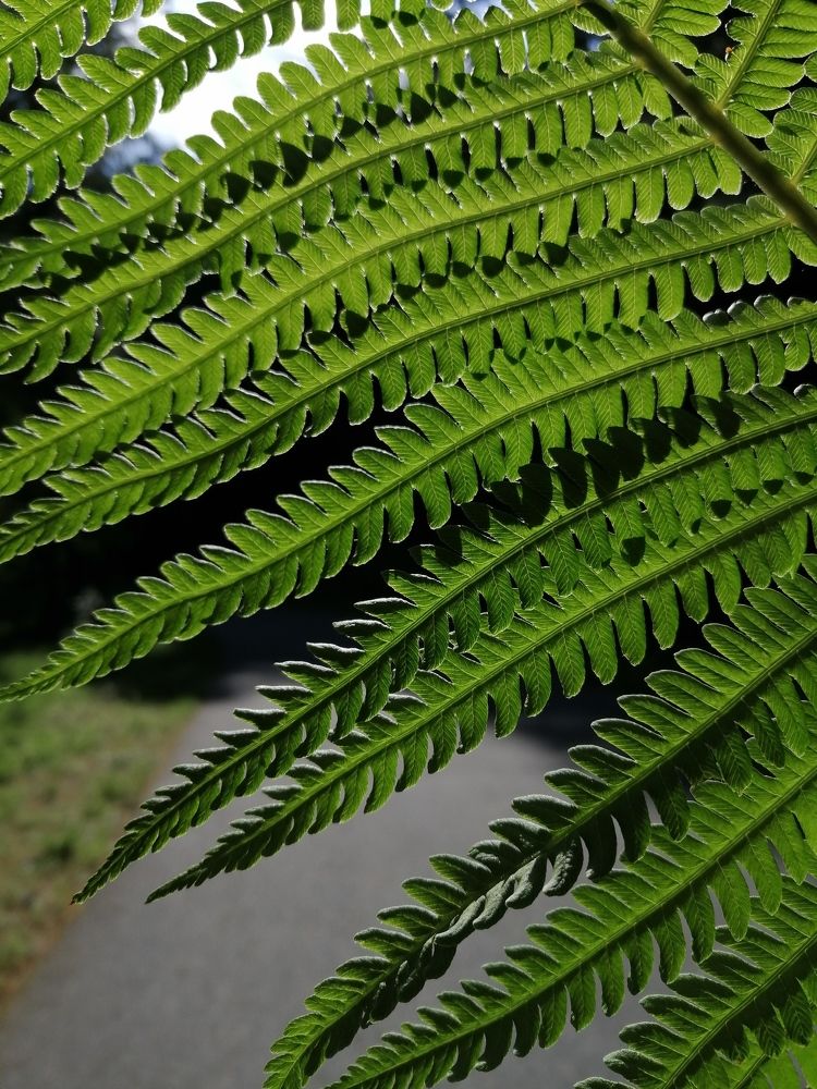 Photograph by Наталья Переверзева