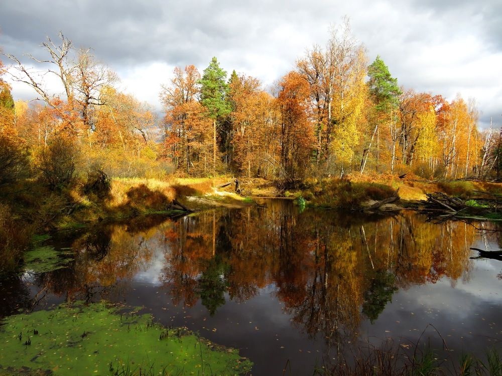Осени прекрасная пора