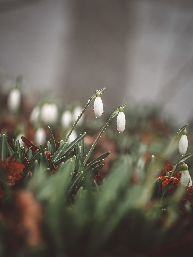 Photograph by Анна Долгих